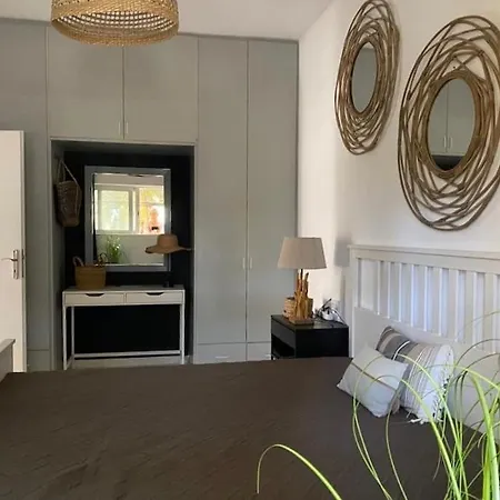 The Palm Apartamento Kárpatos