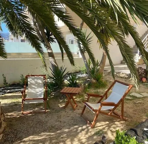 The Palm Apartamento *